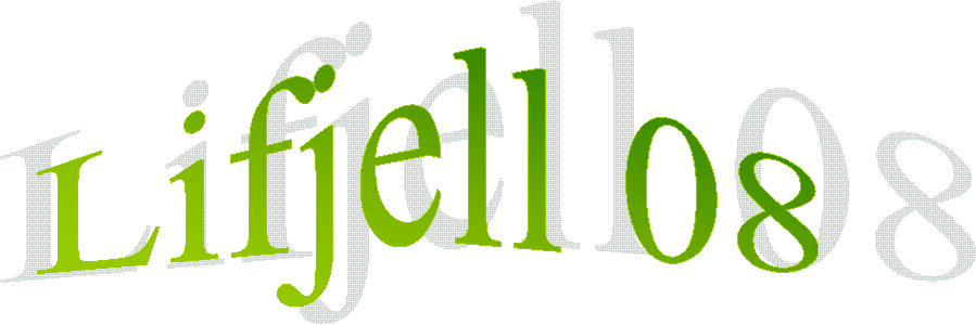 Lifjell 08