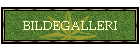 BILDEGALLERI