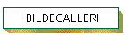 Bildegalleri