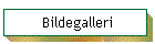 Bildegalleri