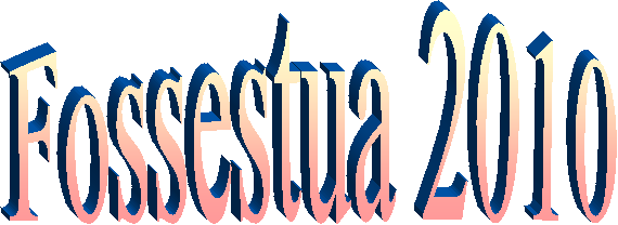 Fossestua 2010